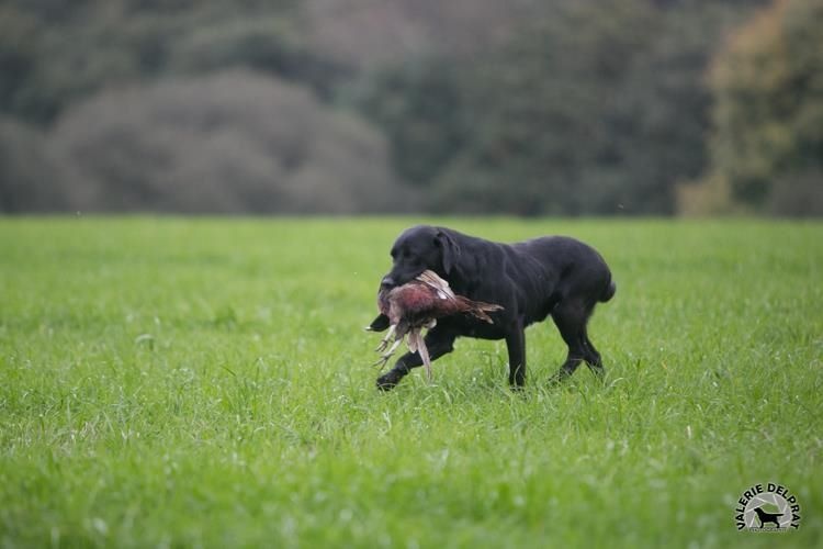 TR. Hulk du phare de la Vierge - 3em exc