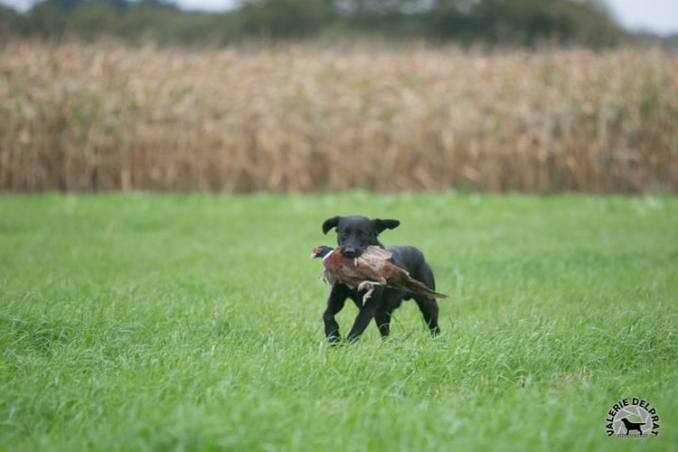 TR. Hulk du phare de la Vierge - 2em EXC RCACT