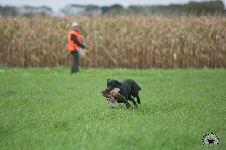 TR. Hulk du phare de la Vierge - excellent