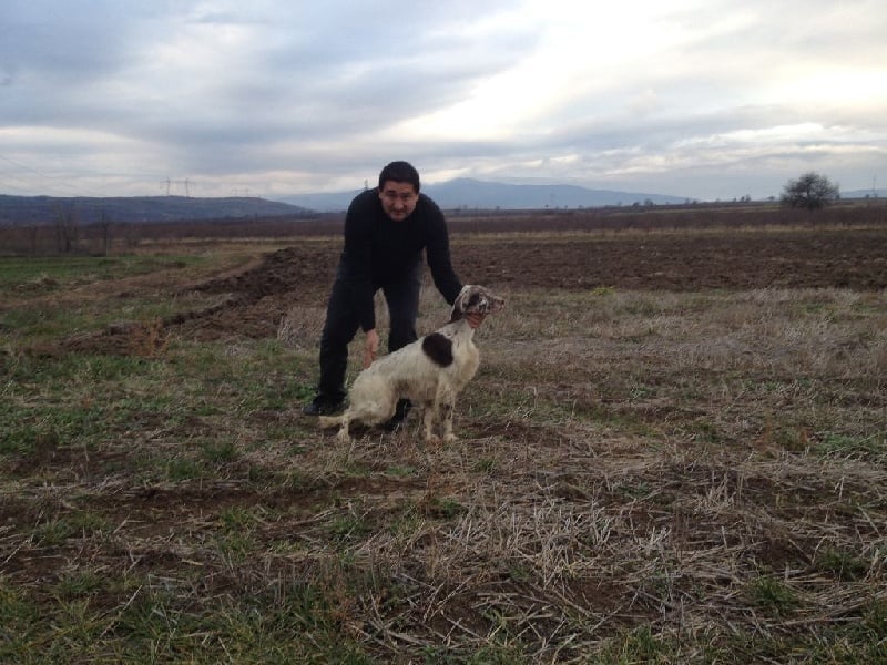 CH. Jeff del damaril - 1ER EXCELLENT C.A.C / C.A.C.I.T