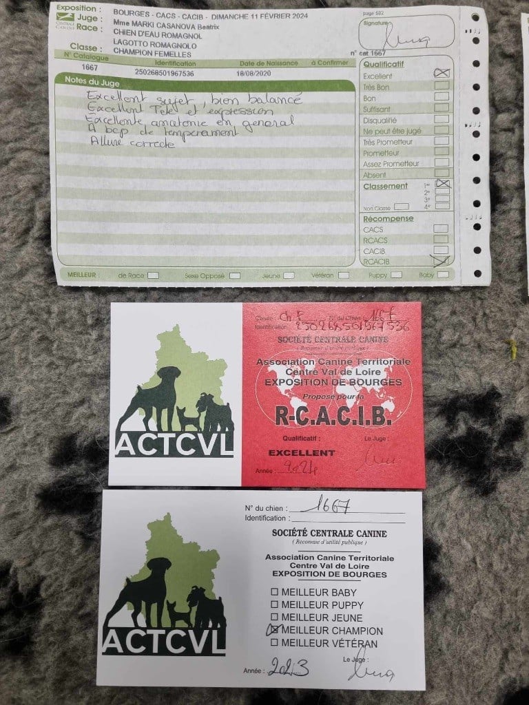 Romina du Pech du Cayrol - 1 et Exc RCACIB