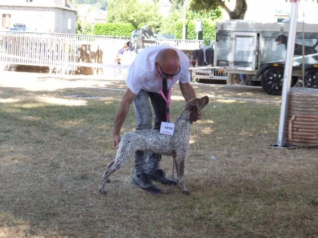 rufnit Libbie - 1er Exc Meilleur Jeune