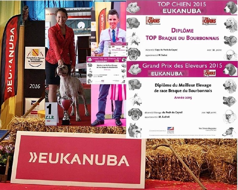 CH. Capy du Pech du Cayrol - Meilleur élevage et Meilleur Chien 2015