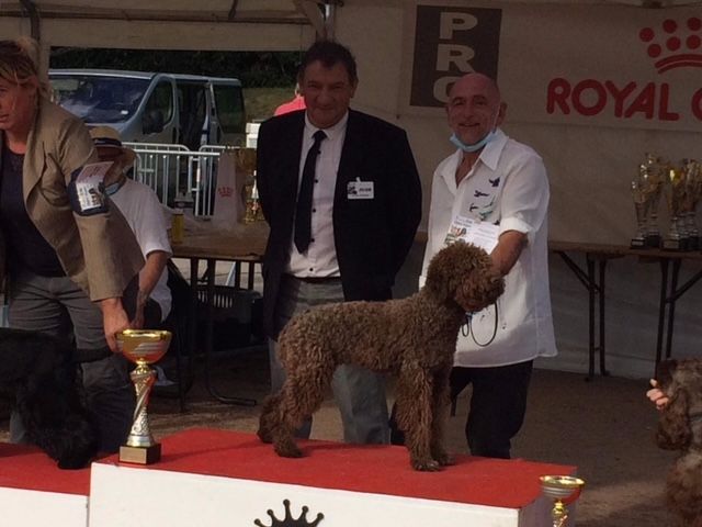 Romina du Pech du Cayrol - CJF : 1er Exc BOJ - BOB - 1er BOG 8