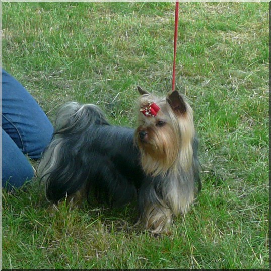 Einstein de Brunehault