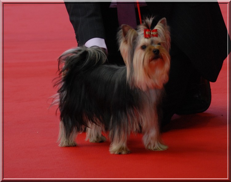 Einstein de Brunehault