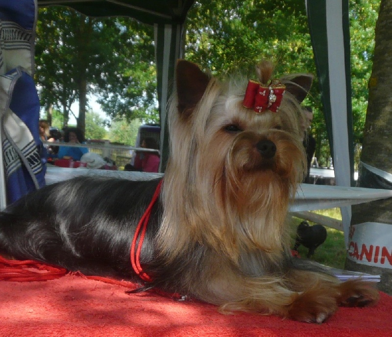 Einstein de Brunehault