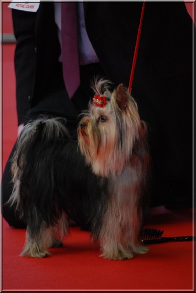 Einstein de Brunehault