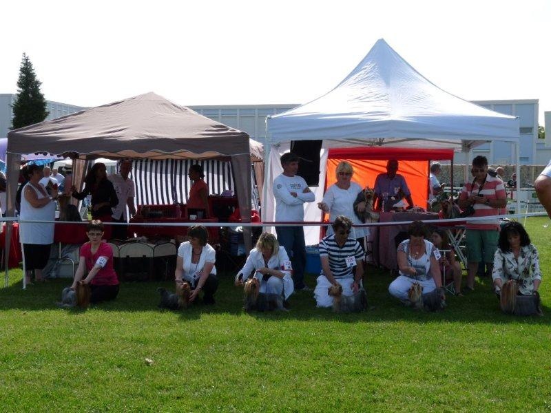 Funny girl des Coteaux de Rompsay - Très Bon classe ouverte