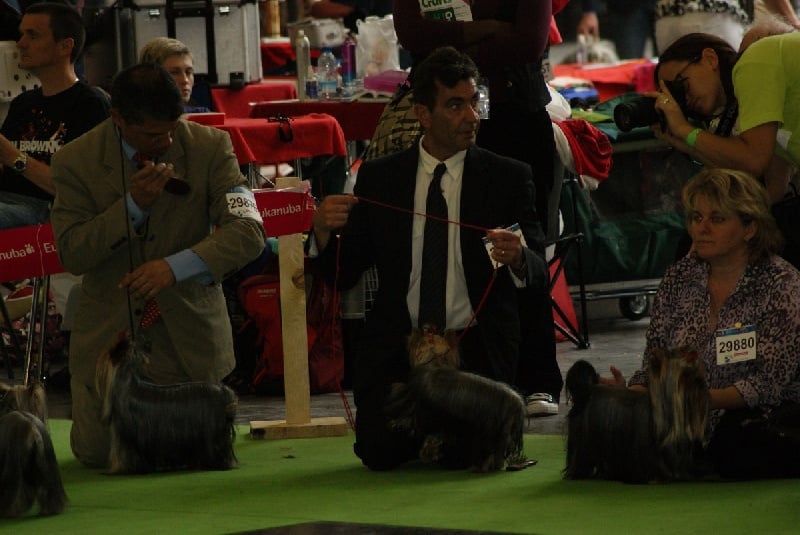 Funny girl des Coteaux de Rompsay - Très Bon