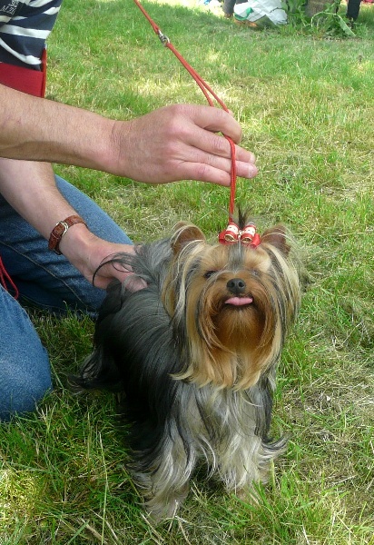 Funny girl des Coteaux de Rompsay - 1 Excellent /Meilleur Jeune