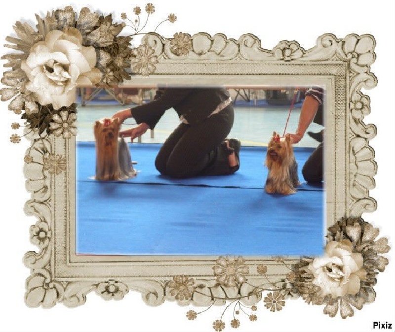 Funny girl des Coteaux de Rompsay - 2 EXC-RCACS