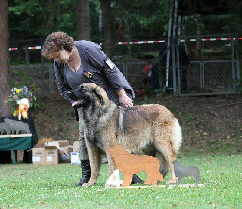 CH. Flora du Moulin de Fontcastel - 4 ème - EXC - Sélectionnée CIF