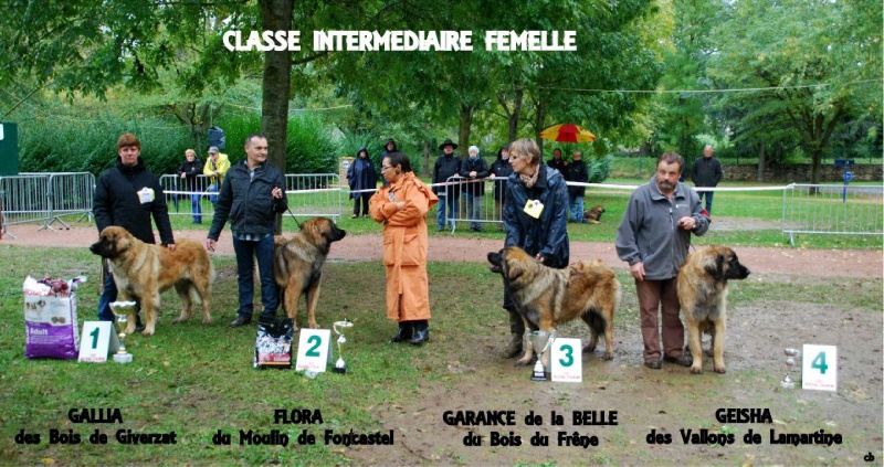 CH. Flora du Moulin de Fontcastel - 2 ème - EXC sélectionnée CIF