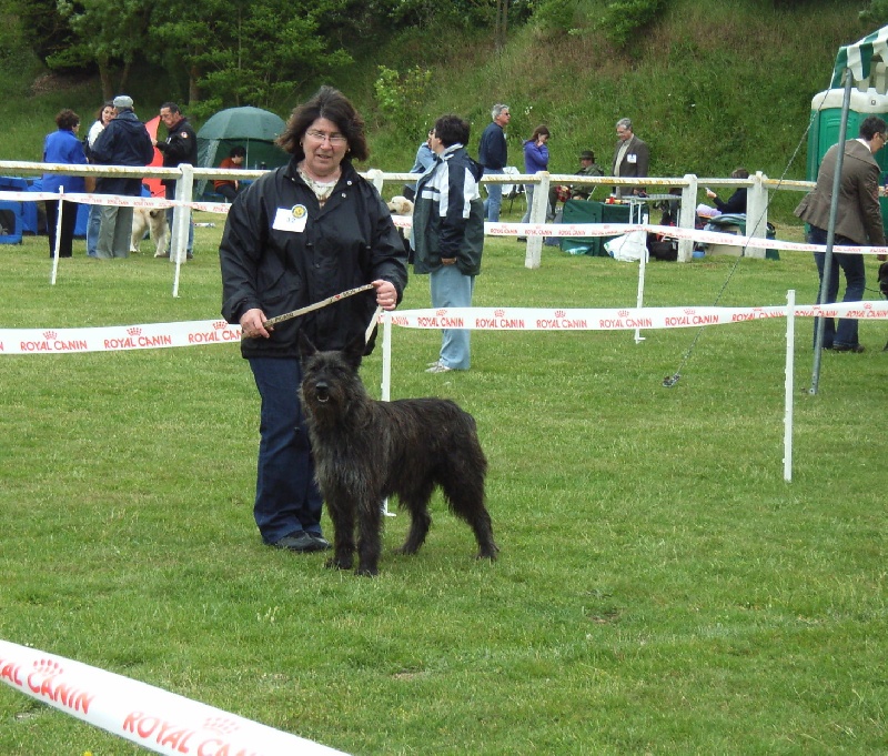 Ajoa du Domaine de Saint Paul - Excellent - Réserve CACS