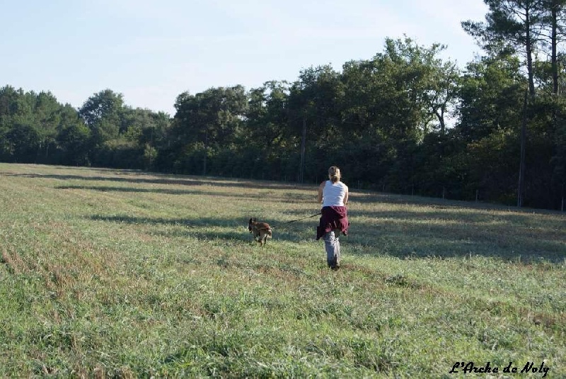 Fidji de l'Arche de Noly