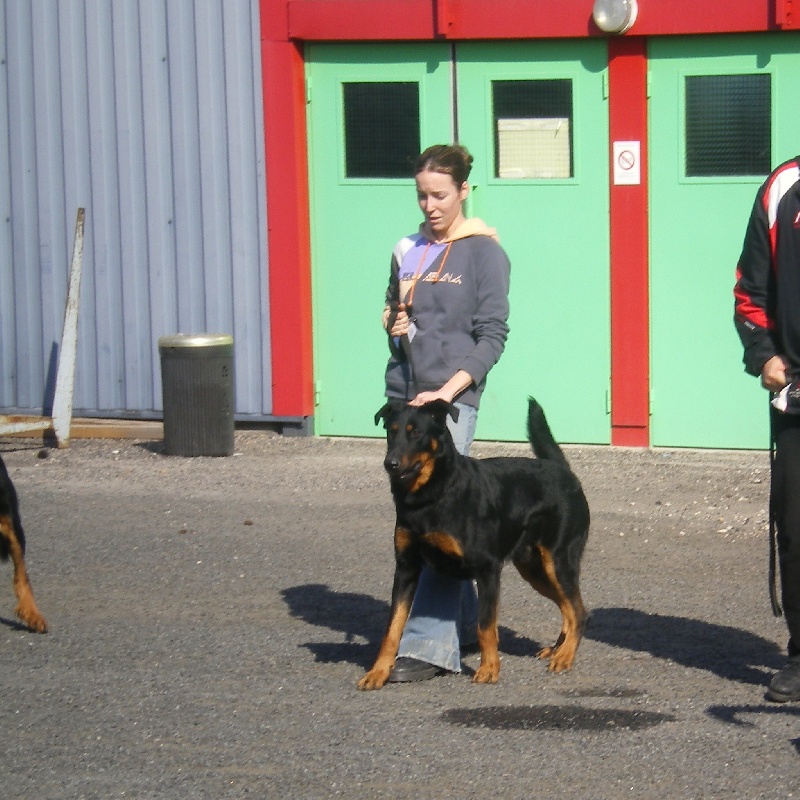 Crack du Domaine des Gardiens de la Vallée - 1° Exc CACS - 2° Exc RCACIB