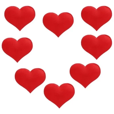 Les chiots de Chien d'eau portugais