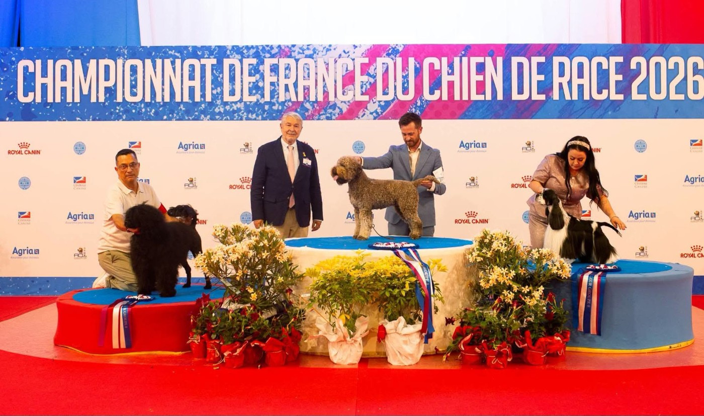 CH. Happily's VISTA ALEGRE "Vista" - 1er EXC / CACIB / BOB / BOG3