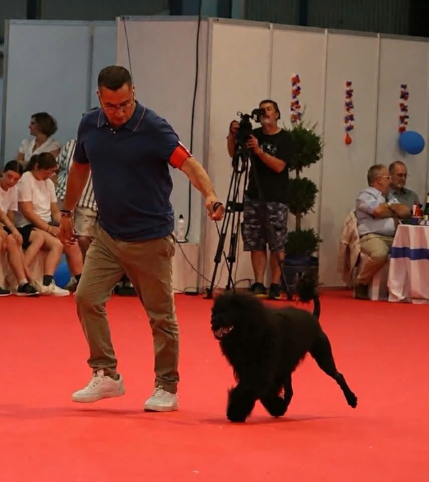 CH. Happily's VISTA ALEGRE "Vista" - 1er EXC / CACIB / BOB