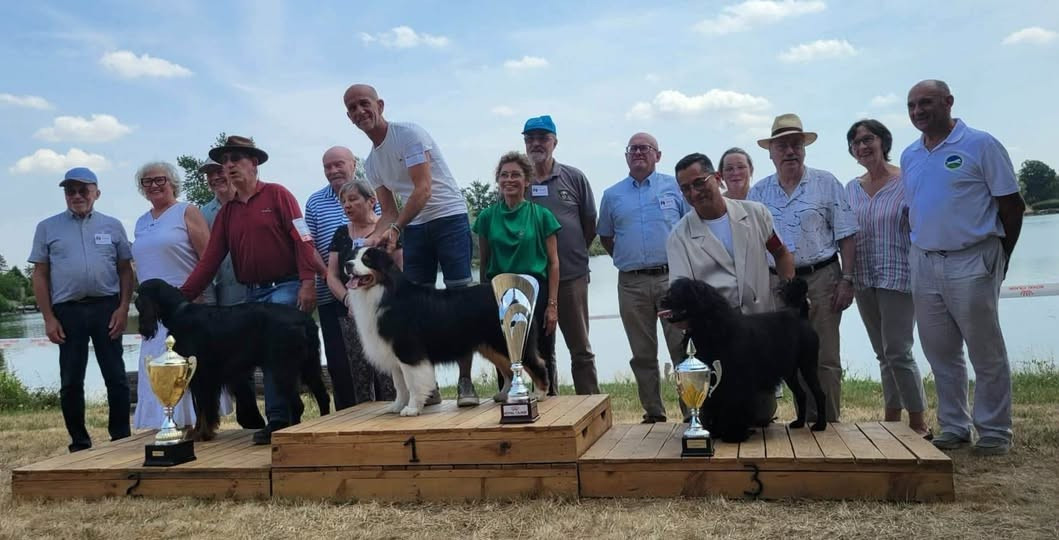 CH. Happily's VISTA ALEGRE "Vista" - 1er EXC / BOB / BOG / Meilleur CHAMPION / BEST IN SHOW 3