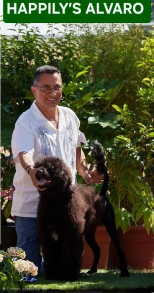 Happily's ALVARO "Al" - 1er TP / BOB PUPPY / BOG PUPPY