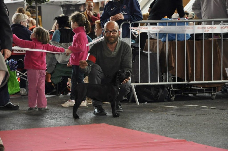 Idem Du Domaine De Flora - Très Prometteur ( classe puppy )