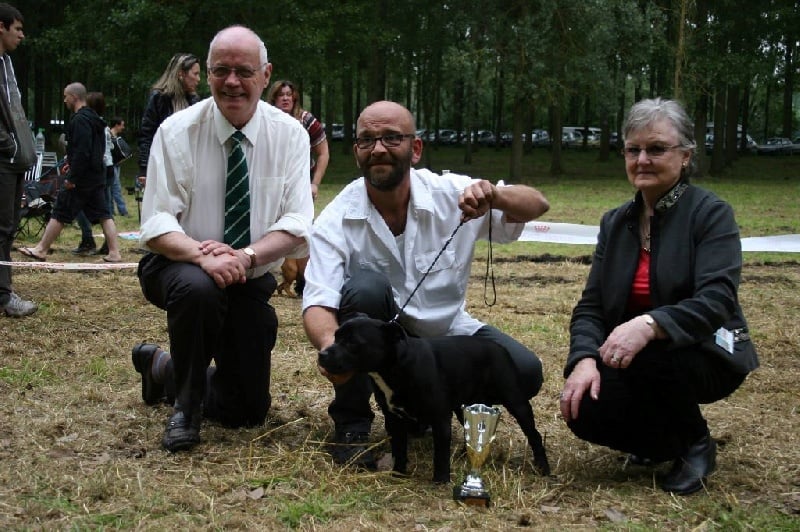 Idem Du Domaine De Flora - Très Prometteur, BEST PUPPY (classe puppy)