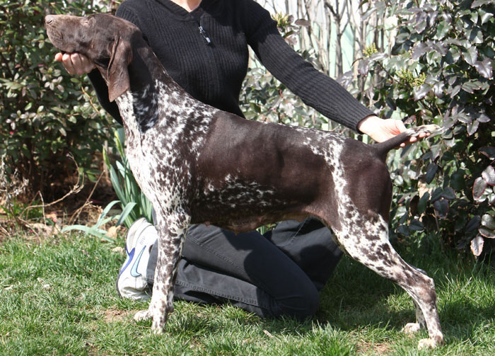 Publication : du Nid aux Nobles Auteur : Manuela Banu