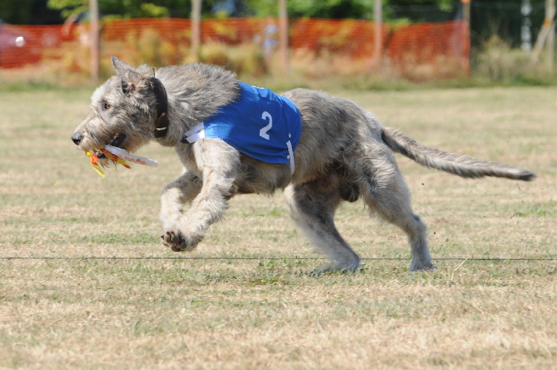 Publication : du mas de Canteperdrix