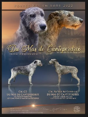 du mas de Canteperdrix