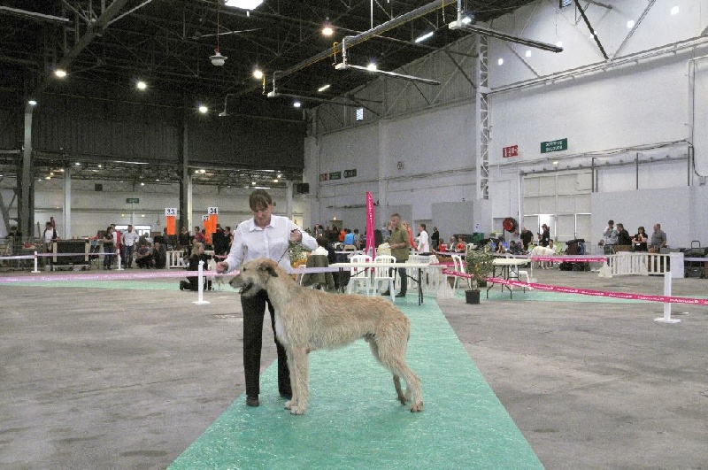 Grunwald D'harcourt - RCACIB RCACS 1er en classe intermédiaire