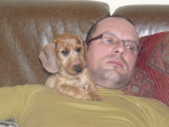 Publication : Roy d'Albion Auteur : céline pfeil