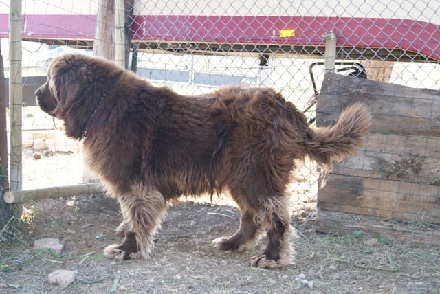 Publication : des Jardins d Artemis