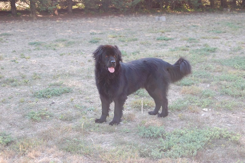 Publication : des Jardins d Artemis