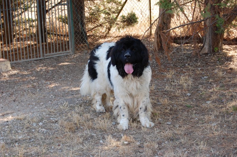 Publication : des Jardins d Artemis