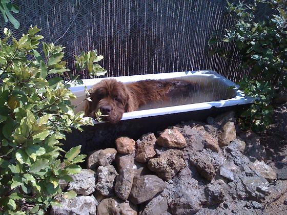 Publication : des Jardins d Artemis