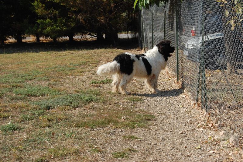 Publication : des Jardins d Artemis