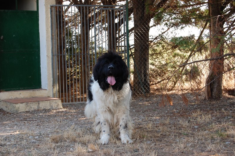 Publication : des Jardins d Artemis