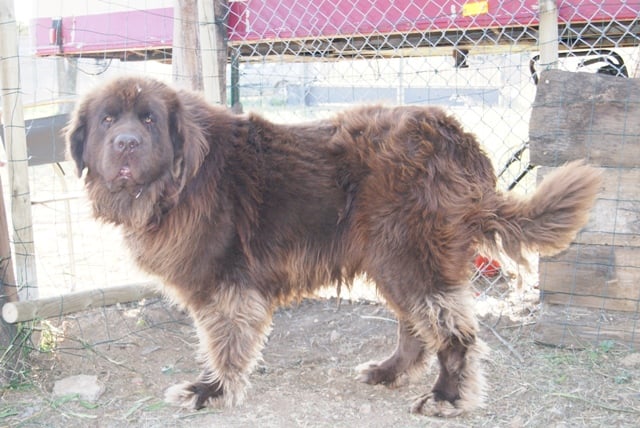 Publication : des Jardins d Artemis