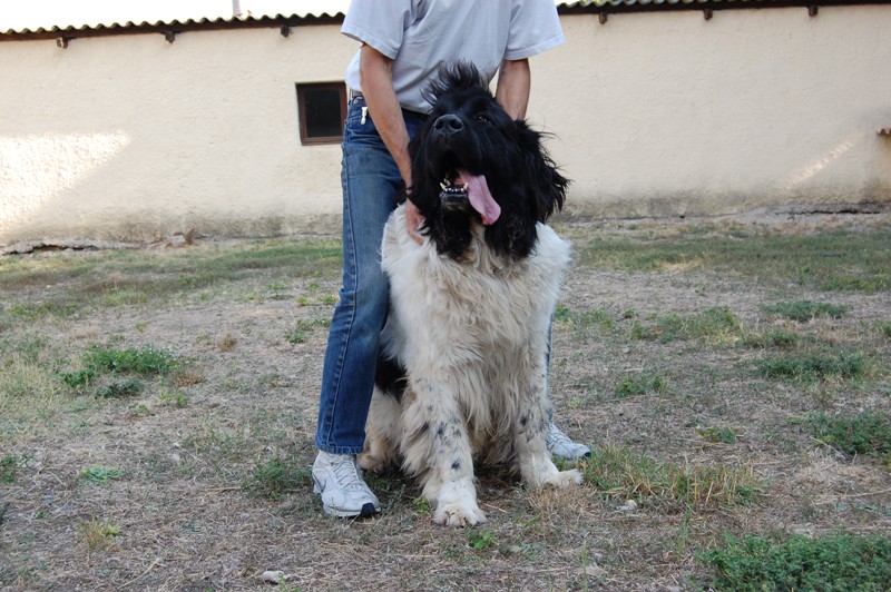 Publication : des Jardins d Artemis