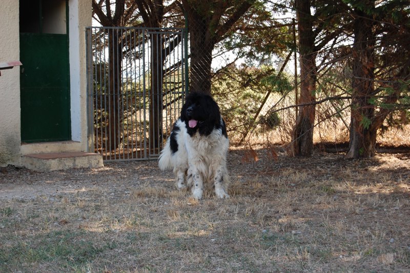 Publication : des Jardins d Artemis