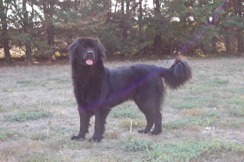 Publication : des Jardins d Artemis