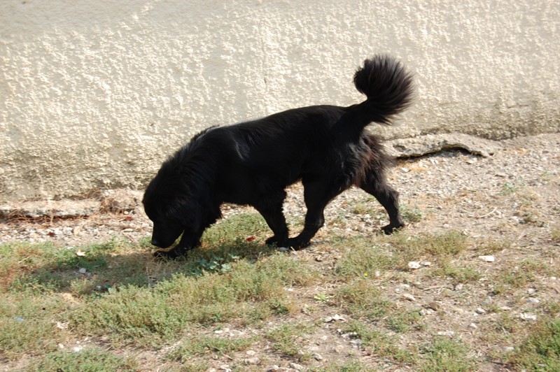 Publication : des Jardins d Artemis