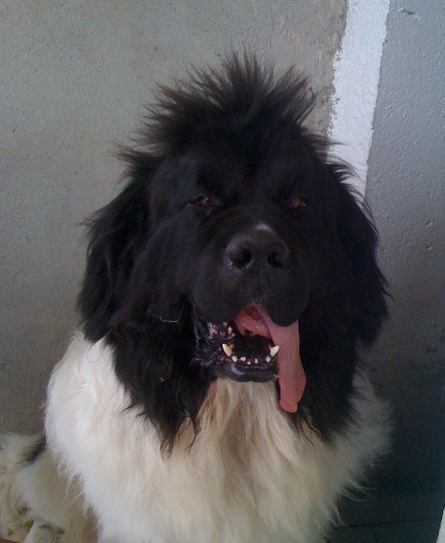 Publication : des Jardins d Artemis