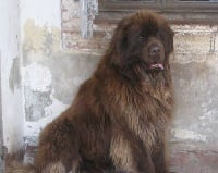 Publication : des Jardins d Artemis