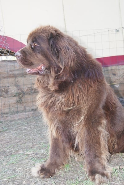 Publication : des Jardins d Artemis