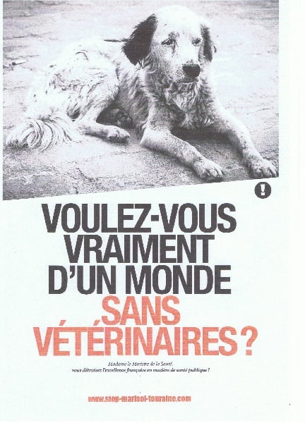 Publication : du biel d'argent Auteur : Marilyn Jeannin