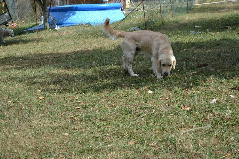 Publication : des gardiens d'Arya Auteur : sonia c.