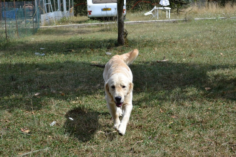 Publication : des gardiens d'Arya Auteur : sonia c.